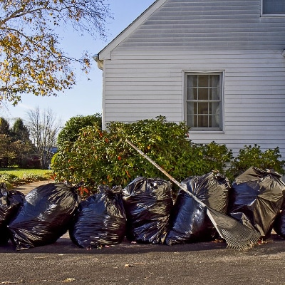 Yard Cleanup